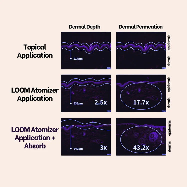 Dermal_depth_and_perm